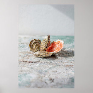 Oyster Shell Still Life in Soft Neutrals Poster