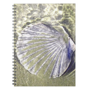 Oyster Shell Underwater Notebook