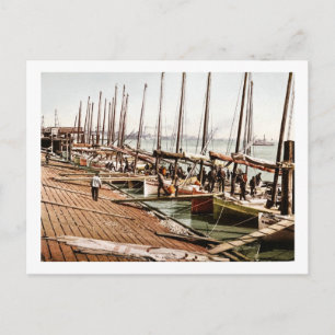 Oyster Smacks at the Levee New Orleans 1900 Postcard