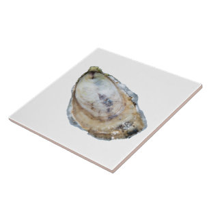 Oyster Tile - Design A White