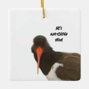 Oystercatcher Bird Ornament 