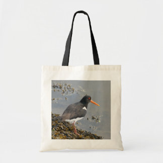 Oystercatcher Budget Tote Bag