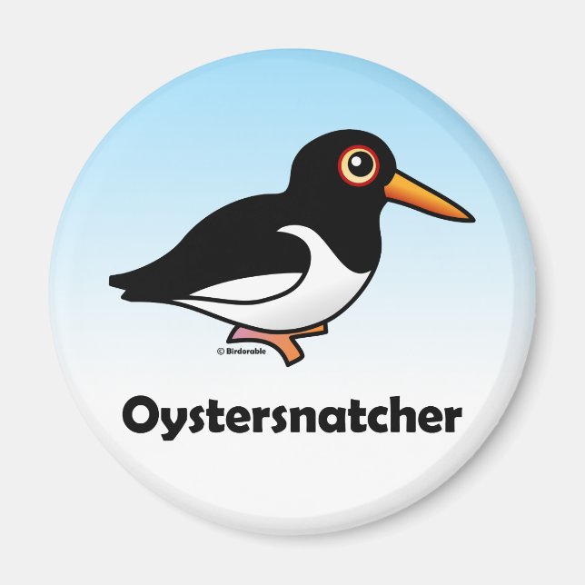 Oystersnatcher Magnet (Front)