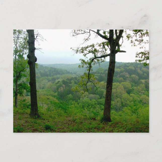Ozark View Postcard (Front)