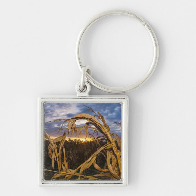 Ozarks Harvest Keychain (Front)