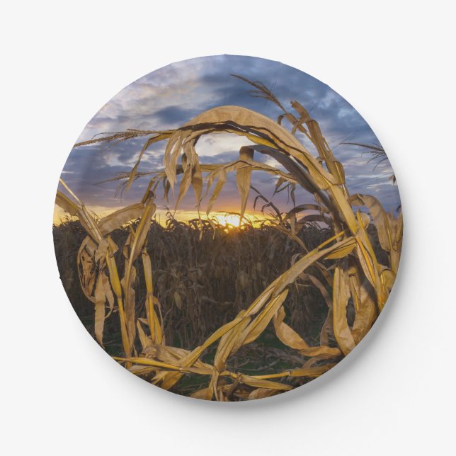 Ozarks Harvest Paper Plate (Front)