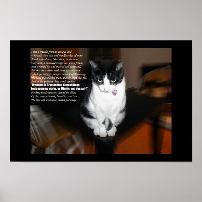 ozymandias poster (Front)