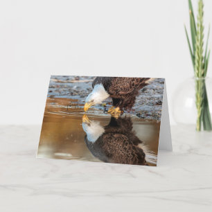 Ozzie Card