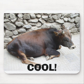 P1010082, COOL! MOUSE PAD