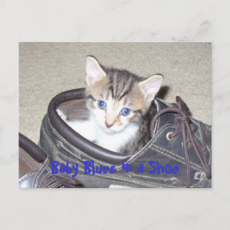 P1020640_153_153, Baby Blues in a Shoe Postcard
