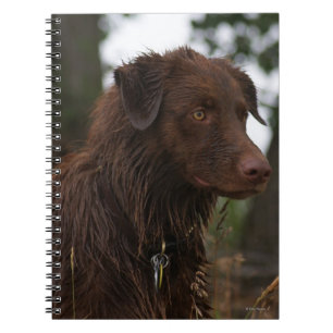 P1 Flatlandersam Wet Dog Notebook