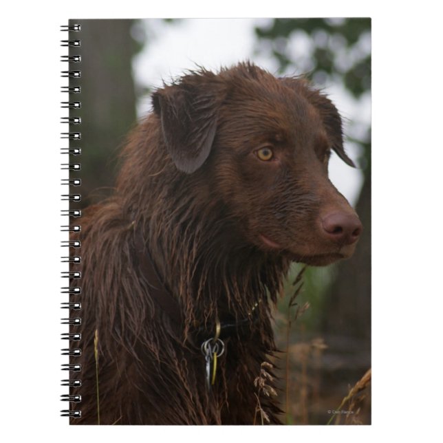P1 Flatlandersam Wet Dog Notebook (Front)