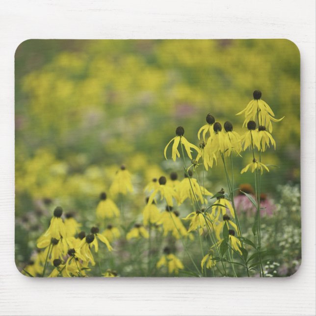 P2526a_yellow coneflower monet_zazzle mouse pad (Front)