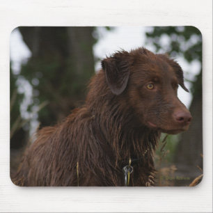 P2 Red Dog Sam Flatlandersam Mouse Pad