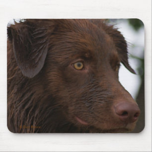 P2a Red Dog Sam Flatlandersam Up Close Mouse Pad
