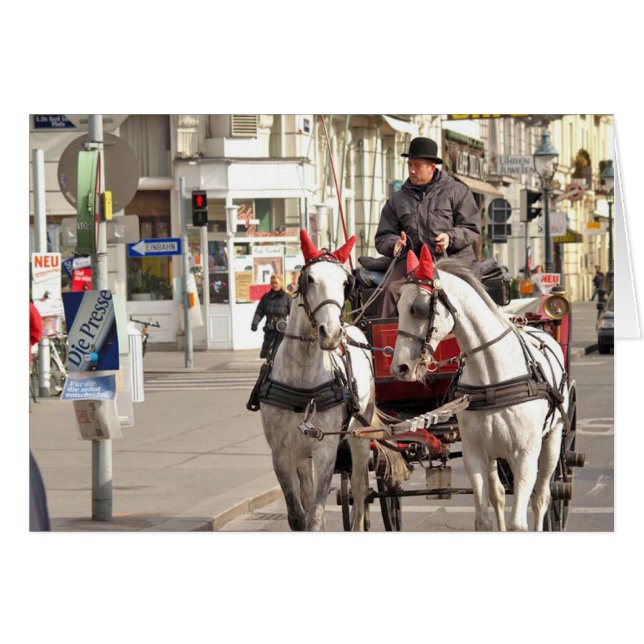 P3171014 (Devant horizontal)