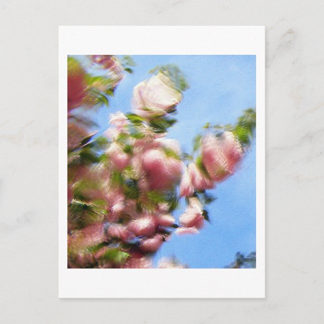 P4240442 POSTCARD (Front)