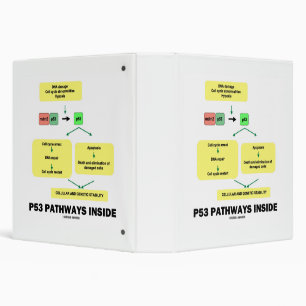 p53 Pathways Inside Cell Molecular Biology Binder