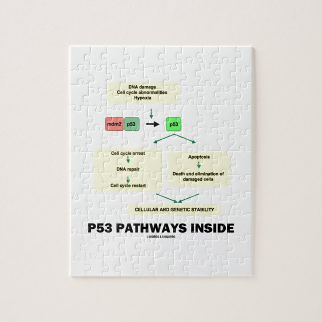 P53 Pathways Inside (Cell Molecular Biology) Jigsaw Puzzle (Vertical)