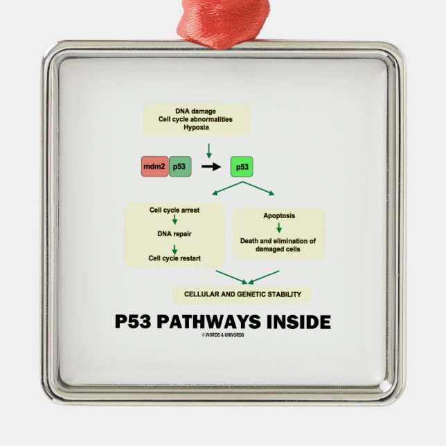 P53 Pathways Inside (Cell Molecular Biology) Metal Ornament (Front)