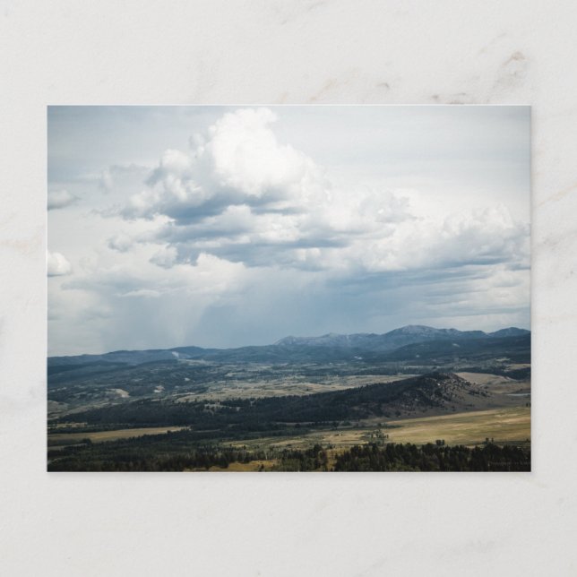 #P6993 Postcard (Front)