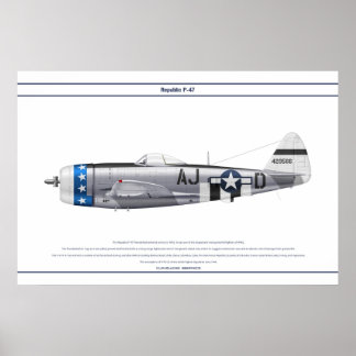 P-47D 356FS USAAF POSTER