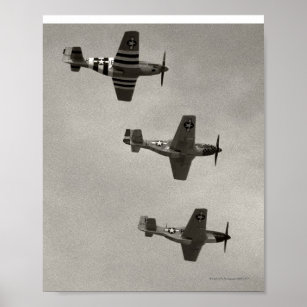 P-51 B and P51D Mustang Poster
