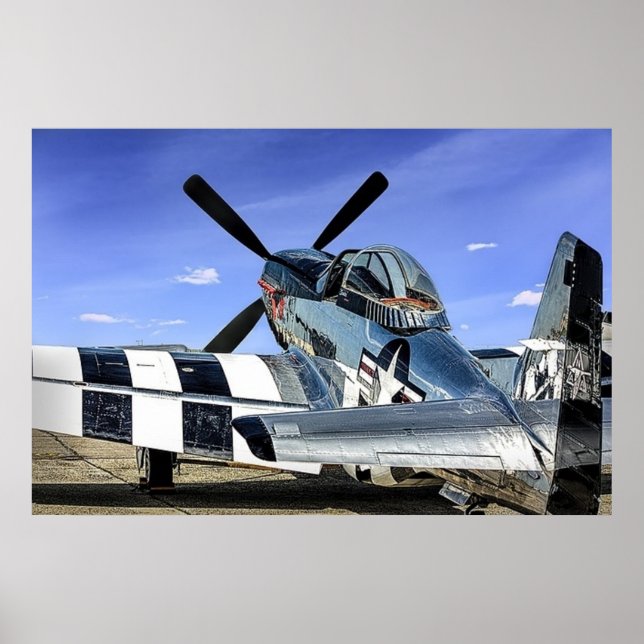 P-51 Mustang Poster (Front)