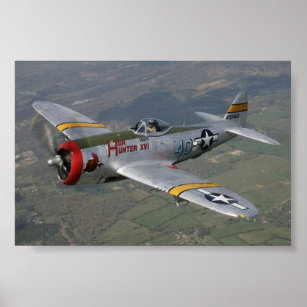 p-51 Mustang Poster