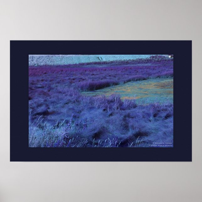 P Below in Indigo Poster (Front)