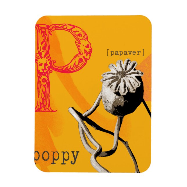 P is for poppy magnet (Vertical)