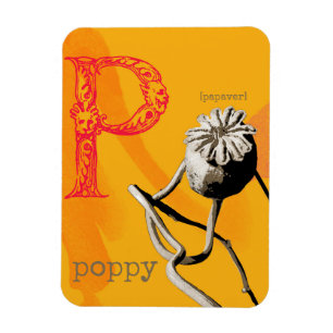 P is for Poppy Magnet