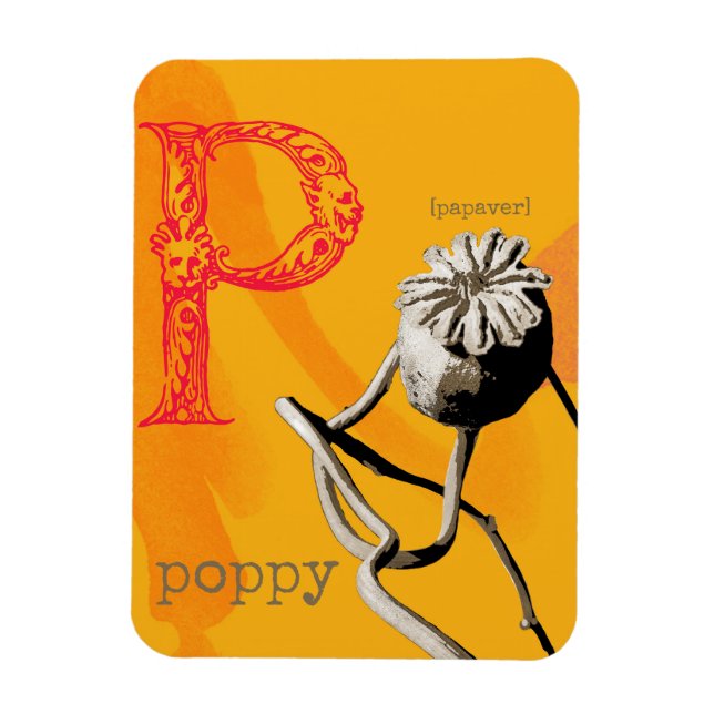P is for Poppy  Magnet (Vertical)