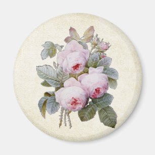 P.J. Redoute Bourbon Rose Bouquet Magnet