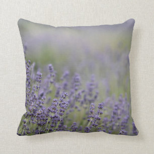 © P Wherrell Beautiful photo purple lavender fiel Throw Pillow