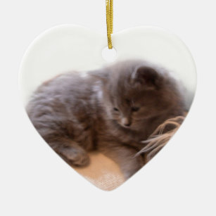 © P Wherrell Cute long haired grey kitten Ceramic Ornament