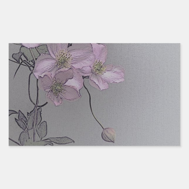 © P Wherrell Gorgeous stylish pale pink clematis Sticker (Front)