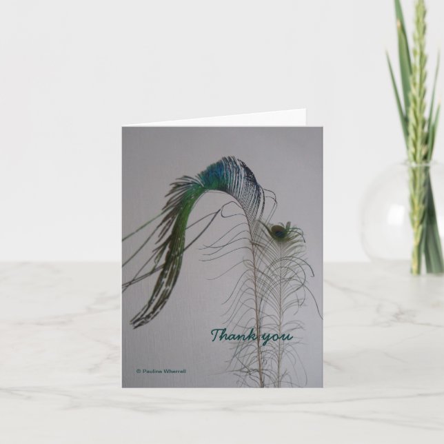 © P Wherrell Thank you peacock feather notecard (Front)