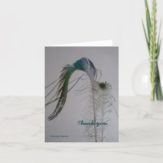 © P Wherrell Thank you peacock feather notecard