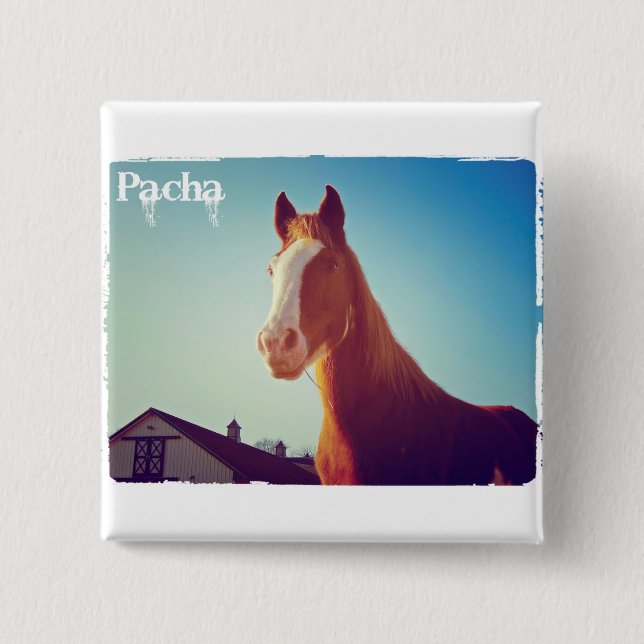 Pacha Deluxe Edition Button (Front)