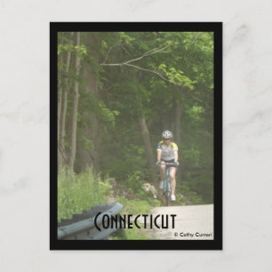 Pachaug State Forest, Ct. Postcard