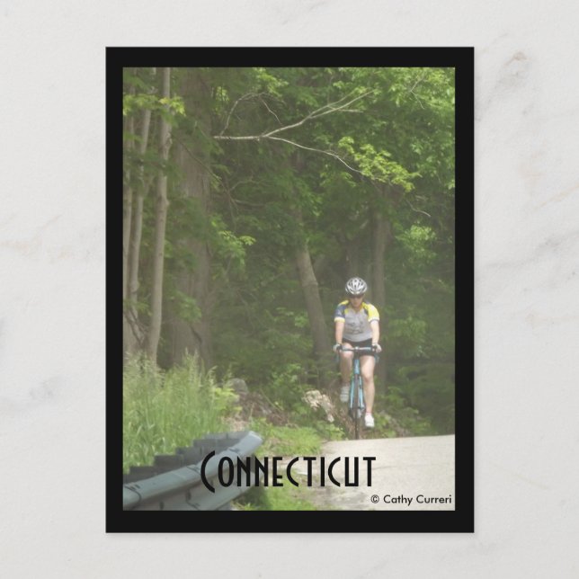 Pachaug State Forest, Ct. Postcard (Front)