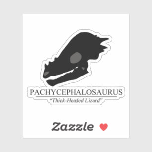 Pachycephalosaurus Skull