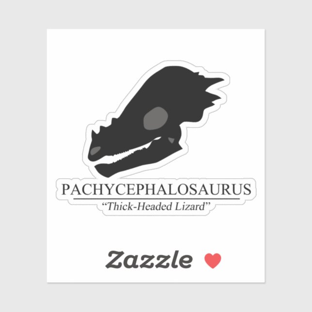 Pachycephalosaurus Skull (Sheet)
