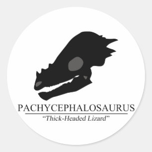 Pachycephalosaurus Skull Classic Round Sticker