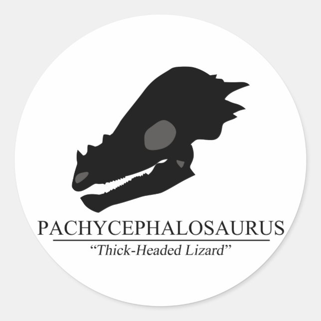Pachycephalosaurus Skull Classic Round Sticker (Front)