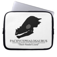 Pachycephalosaurus Skull