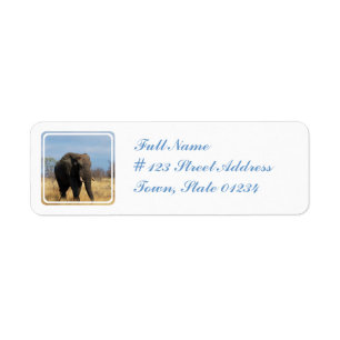 Pachyderm Mailing Label