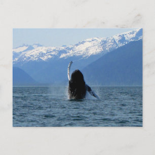 Pacific Ballet Postcard