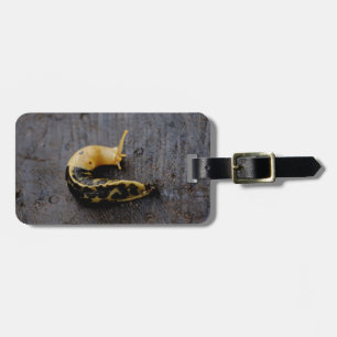 Pacific Banana Slug Luggage Tag